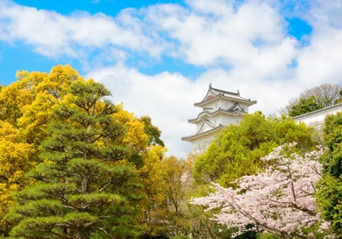 明石市のお花見スポット