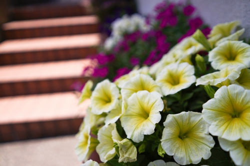 共用部分をキレイにしたイメージ画像