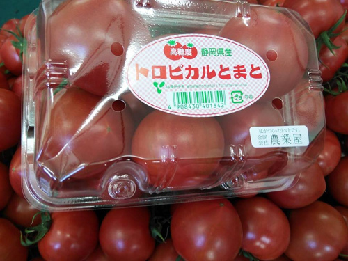 kasshiwaginouen031701