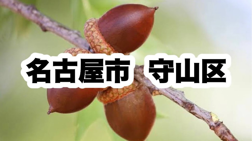 名古屋市守山区｜区役所やライフラインの連絡先について