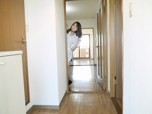 ステラーハウス画像