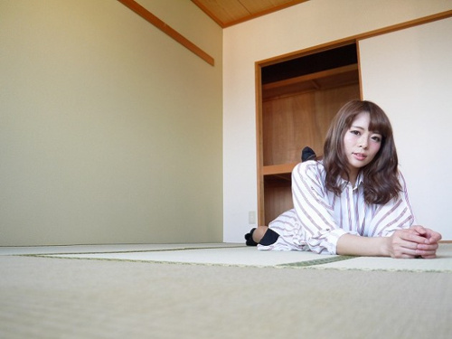 ステラーハウス画像