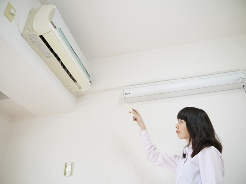 グレーシィＦ画像