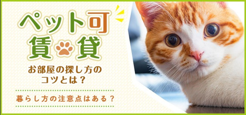 ペット可賃貸物件のコツと注意点