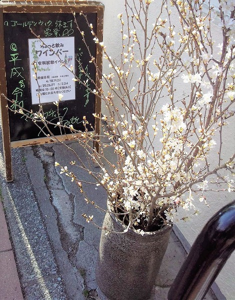 さくらの不動産手稲店_手稲区のオススメスポット「マダムブティックつるもと」