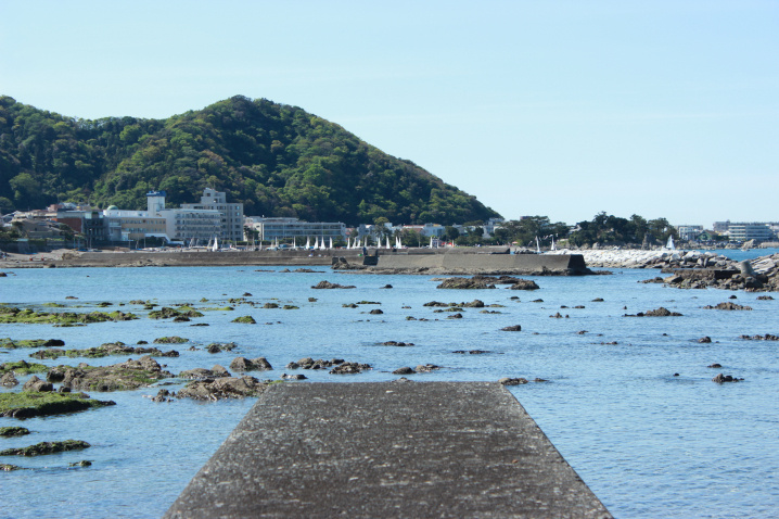 諏訪海岸　葉山マリーナ　森戸海岸　湘南葉山不動産　樋口雅規