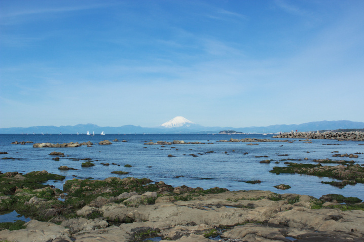 諏訪海岸　葉山マリーナ　森戸海岸　湘南葉山不動産　樋口雅規