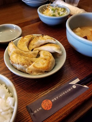 さくらの不動産手稲店_札幌餃子 きたろう