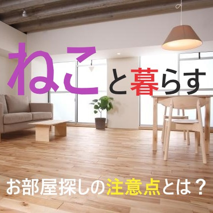 瑞穂区のペット可賃貸！！猫ちゃんと暮らす時の注意点は？①