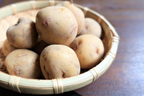 ほどじゃが食べて活動自慢！