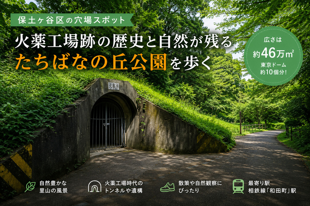 【保土ヶ谷区】火薬工場跡と自然が残る「たちばなの丘公園」を歩くの画像