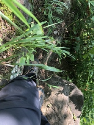 さくらの不動産手稲店_石狩浜益町黄金山のソロ登山