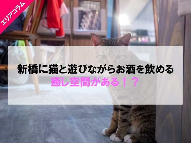 新橋に猫と遊びながらお酒を飲める癒し空間がある！？