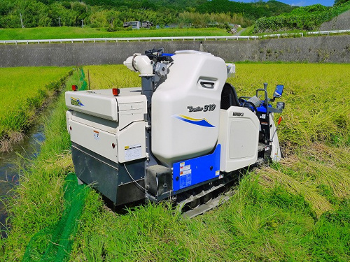 食プロジェクト稲刈り画像