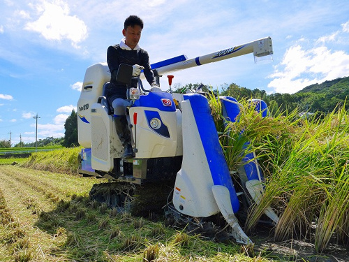 食プロジェクト稲刈り画像