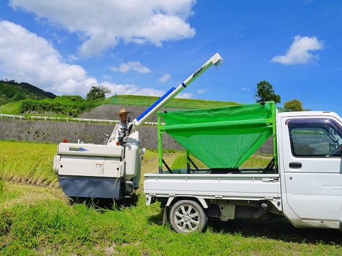 食プロジェクト稲刈り画像