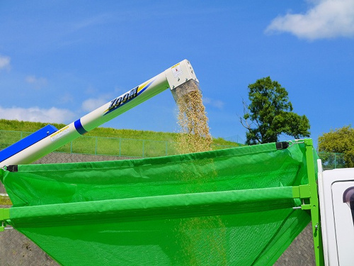 食プロジェクト稲刈り画像