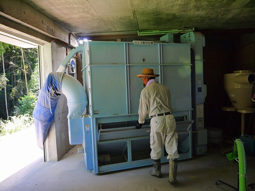 食プロジェクト稲刈り画像