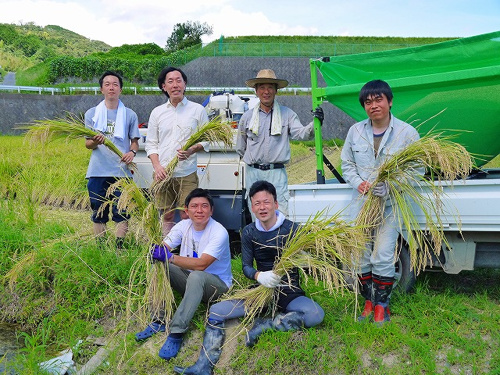 食プロジェクト稲刈り画像