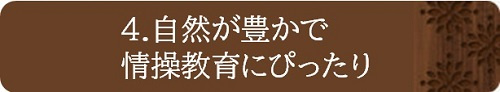 自然が豊かで情操教育にぴったり