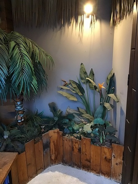 さくらの不動産手稲店_クレイジースパイス(CRAZY SPICE)小樽本店!