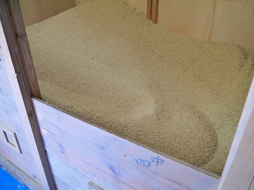 食プロジェクト籾摺り（もみすり）画像