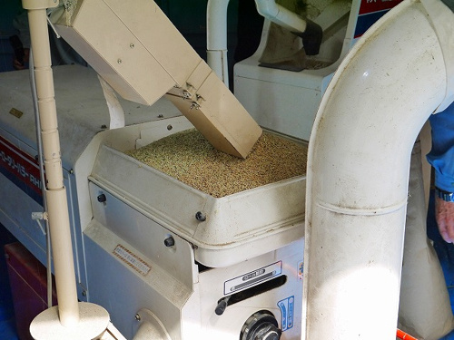 食プロジェクト籾摺り（もみすり）画像