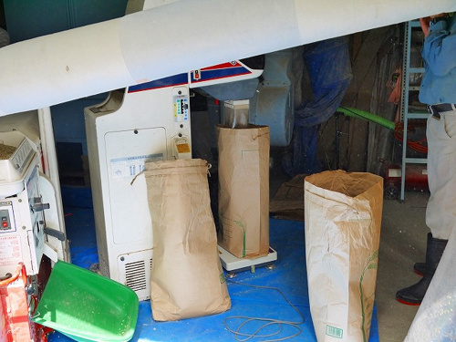 食プロジェクト籾摺り（もみすり）画像