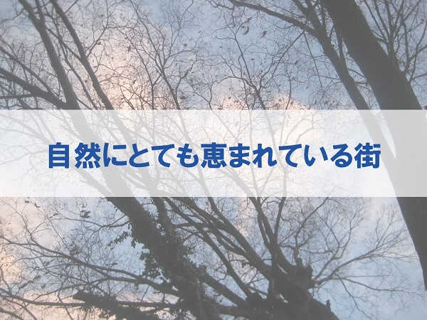 自然にとても恵まれている街