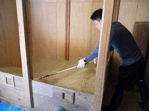 食プロジェクト籾摺り（もみすり）画像