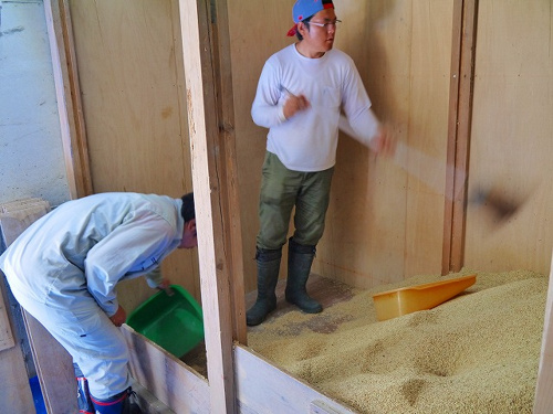 食プロジェクト籾摺り（もみすり）画像