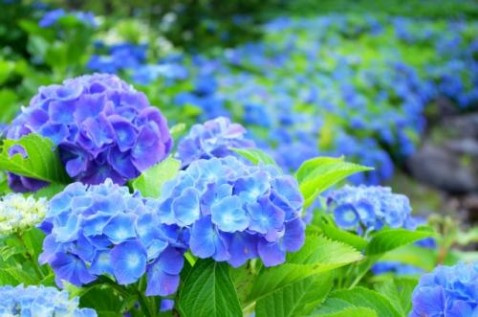 浴室乾燥機をうまく使って洗濯物を乾かそう！！②