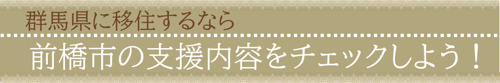 群馬県に移住するなら前橋市の支援内容をチェックしよう！