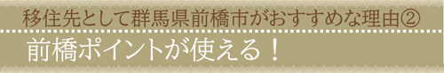移住先として群馬県前橋市がおすすめな理由②前橋ポイントが使える！