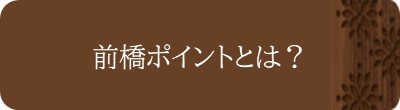 前橋ポイントとは？