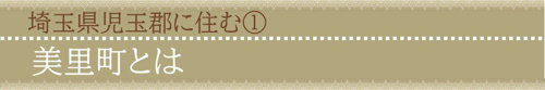 埼玉県児玉郡に住む①美里町とは