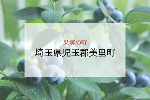 果実の町 埼玉県児玉郡美里町