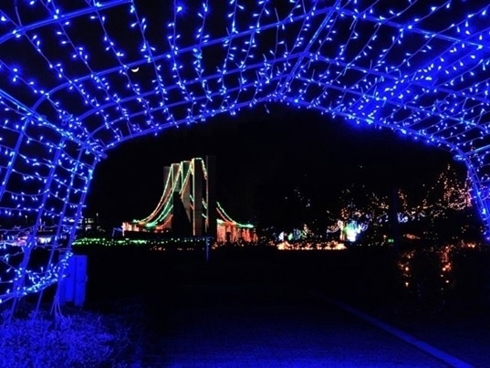 城陽市の魅力を発信 光のページェント 宇治市の不動産ならセンチュリー21メイクス