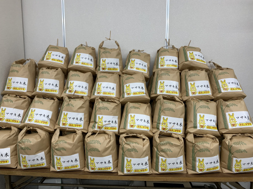 マサキ米完成画像