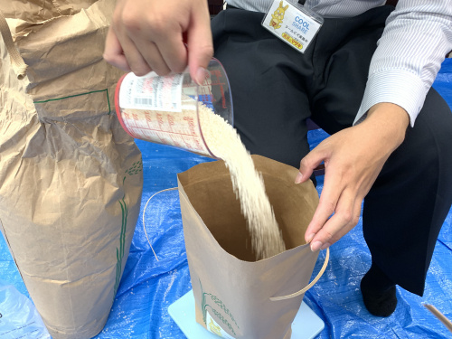 マサキ米完成画像