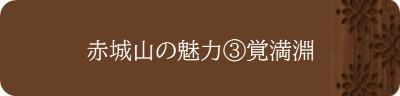 赤城山の魅力③覚満淵