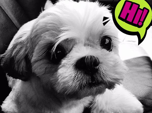 さくらの不動産手稲店_ビュー カフェ オタル アールファイブ ユアータイム