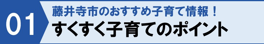 【藤井寺市のおすすめ子育て情報！すくすく子育てのポイント】