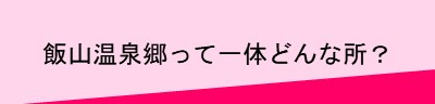 ■飯山温泉郷って一体どんな所？
