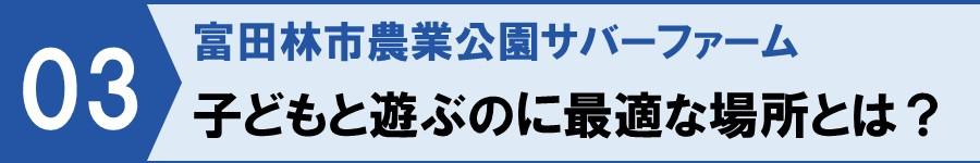 【富田林市農業公園サバーファームで子どもと遊ぶのに最適な場所とは？】