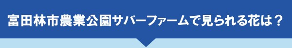 ＜富田林市農業公園サバーファームで見られる花は？＞