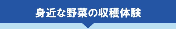 ＜身近な野菜の収穫体験＞