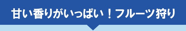 ＜甘い香りがいっぱい！フルーツ狩り＞