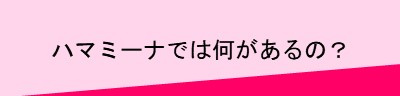 ハマミーナでは何があるの？