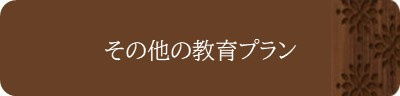 その他の教育プラン